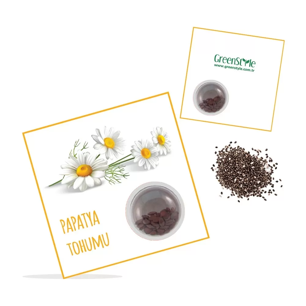 tohumlu kart 7x7 cm tohumlu kart 7x7 cm