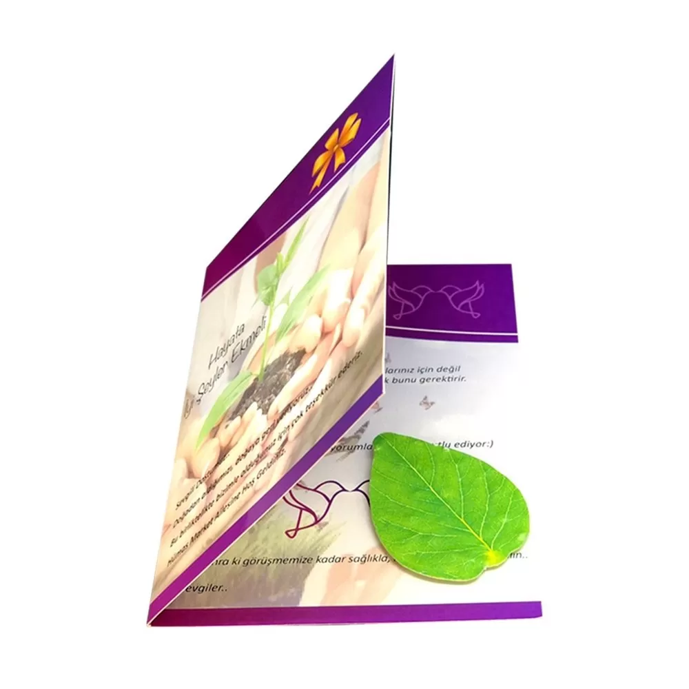 tohumlu_katlanir_brosur_greenstyle