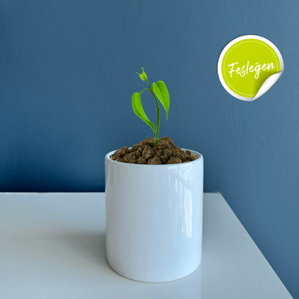 fesleğen seramik fesleğen seramik